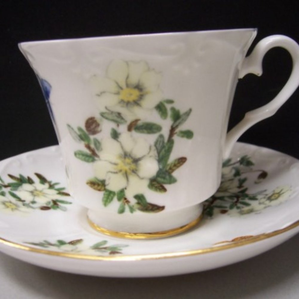 Teacup & Saucer Sets - Mountain Avens  by Sunrise